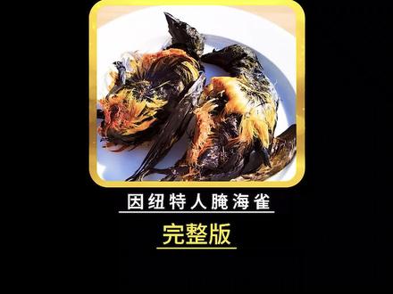 因纽特人的暗黑料理腌海雀,就连鲱鱼罐头都得靠边站#纪录片 #dou来安利纪录片 #因纽特人 #腌海雀