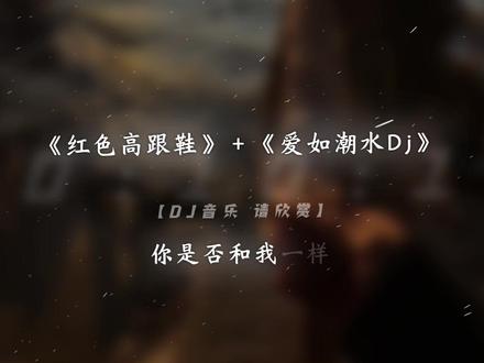 如果遇到爱的人请拉住他的手歌词dj-抖音