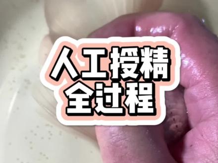人工授精全程了解#养鱼日记 #老天聊鱼 #我为金鱼狂#繁殖 #丹凤