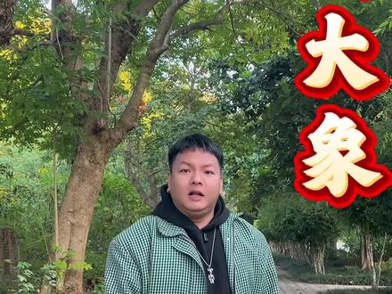 你骑过大象吗?#我的乡村生活 #一定要看到最后 #万万没想到