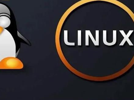 网工必会的网络命令:ping#网工必会 #网络知识分享 #ping命令用法 #