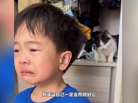 一只短暂出现在小男孩生命里的小猫,却教会了他最宝贵的一课#快成长计划 #潮流生活成长之星 #这个世界不能没有小猫咪