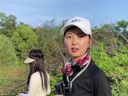 雷强打黑,抛投和遛蛙技巧,你学会了吗#雷强打黑 #雷蛙路亚黑鱼 #雷强教学