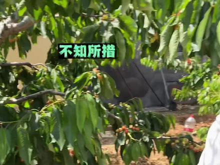 大姨夫就是我们的生活保障……#一定要看到最后 #这是皮痒了吧