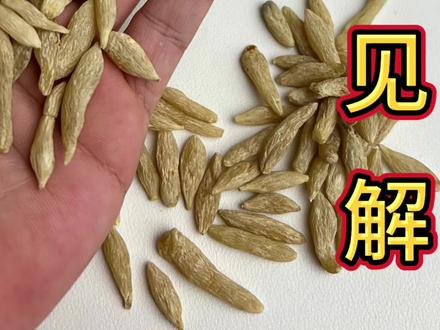 麦冬讲解,山麦冬,川麦冬,怎么辨别,怎么选择,一看便知,讲的很详细
#麦冬 #山麦冬 #川麦冬 #浙麦冬 #药材