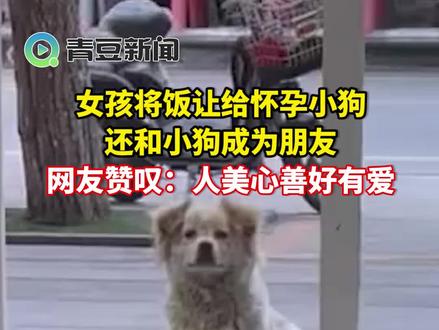 6月12日,河南驻马店。女孩小左又去看望狗狗小白,因之前小左给它喂过饭,小白已和她成为朋友。#政媒原创作者联盟