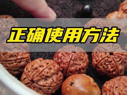 马鬃刷盘在文玩包浆前后阶段一定要搭配不一样的刷盘进行辅助使用#文玩 #文玩核桃 #文玩爱好者 #文玩发烧友