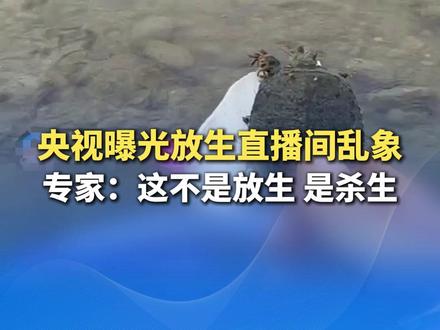#央视曝光放生直播间乱象 :打赏10元放生2只甲鱼,刷上约300元就能放生60只。专家:这不是放生,是杀生。人工养殖品种难以适应野外环境,批量死亡还会进一步污染水体。(央视新闻)(编辑:十一)#直播间花钱放生其实是杀生