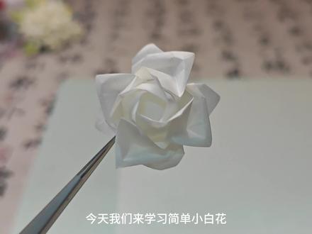 荷氏玫瑰教程
#折纸 #手工 #教程 #荷氏 #荷氏玫瑰