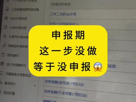 申报期最后一天,这一步没做等于没申报#个税 #会计 #会计干货 #会计实操 #报税