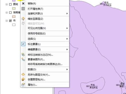 @抖音小助手 #图斑 #图例 #字段 #shp #arcgis基本操作 #删除同名标注方法