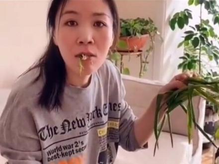 #挑战揭盖王 @百事可乐 #专治不开心 #搞笑视频 作死的胆子.事大事小挨揍就完事.#云上尖叫季