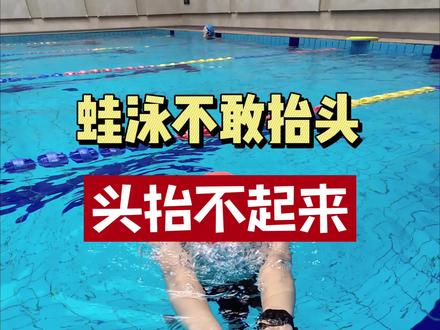蛙泳头抬不起来,换气总呛水,一定是少了这个练习!#内容启发搜索 #蛙泳 #游泳技巧 #学游泳 #游泳 @DOU+上热门 @抖音创作小助手 @DOU+小助手 @抖音小助手 @抖音