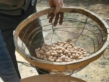 #民间传统美食 来自我们大垣曲的特色小吃炒琪,你吃过不。一方水土,一方民情,一道美食,一缕牵挂。来看看炒琪怎么制作的#传统手艺 #家乡的味道 #土炒馍 #特产美食