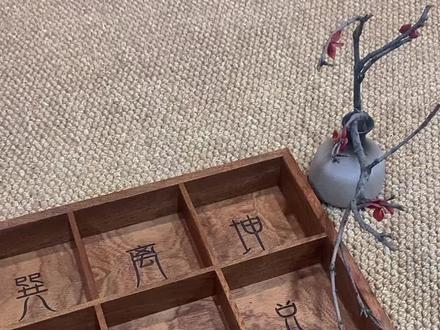 奇门九星系列之天蓬星⭐#奇门遁甲 #传统文化