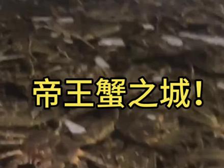 海鲜之城! #海鲜 #俄罗斯#朝鲜 边境城市给大家带来的快乐!