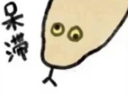 猪鼻蛇基础饲养了解
#蛇🐍 #猪鼻蛇 #小狗蛇点点