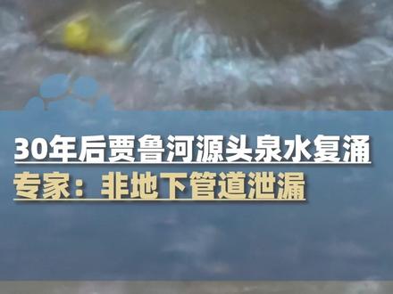 干涸30年后贾鲁河源头泉水复涌 专家:非地下管道泄漏 #河南dou知道