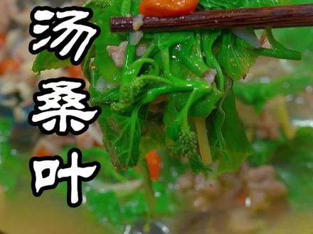 作为南方人我,非常喜欢做上汤桑叶,满满一口都是春天,相信我,你一定试一试
