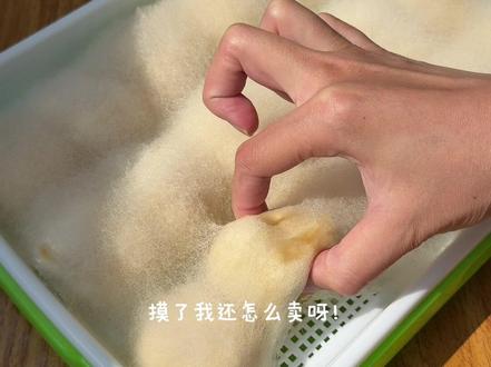 终于轮到我玩霉豆腐了,真的还蛮有意思的#青年创作者成长计划 #霉豆腐 #记录真实生活 #制作过程 #霉豆腐制作