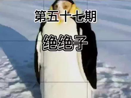 #网络热词 #绝绝子 第五十七期网络热词解析来了,要学会正确使用网络流行语,维护良好网络文化,弘扬网络正能量!