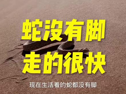 蛇没有脚,走的很快 #生态环境 #科普一下 #大自然 #远古生物 #蛇 #动物