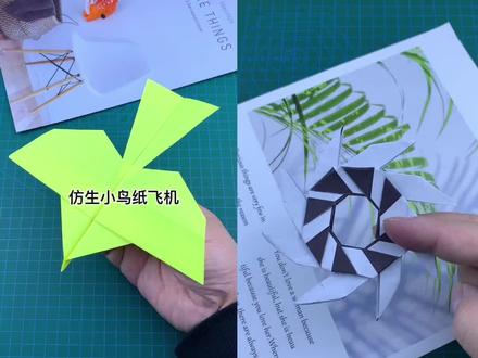 #自制玩具分享 #手工 #折纸 #纸飞机 简单几步制作四种好玩的纸飞机和飞镖