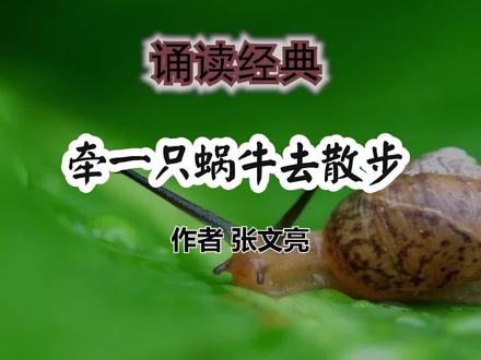 牵一只蜗牛去散步 作者张文亮