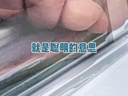 我也是在东莞第一次听“傻閪”这两个字,小姐姐你好傻閪喔#广东dou知道#科普#广东话#搞笑#粤语#凡事不要慌拍个抖音在说#东莞