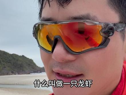 深度解读OpenClaw:美国传统软件行业为何会被一只龙虾彻底颠覆?#跟傅盛学AI#Agent#SaaS#电脑#大有学问