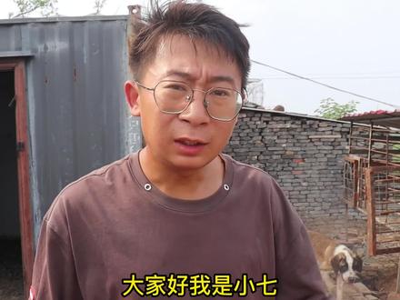 流浪狗基地苍蝇乱飞,小七买药驱虫杀菌,除了喷药还有其他办法吗 #流浪动物救助