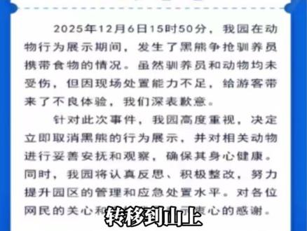 黑熊“突袭”驯养员? 杭州野生动物世界致歉,并取消演出中的黑熊行为展示。驯养员说:当时熊是在抢袋子里的胡萝卜,他没有被咬。