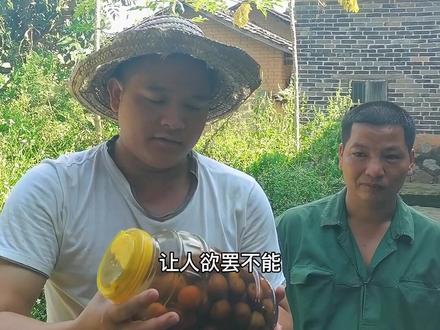 大山小沙梨泡制方法,泡制后酸酸甜甜,非常好吃#泡制教程 #大山水果