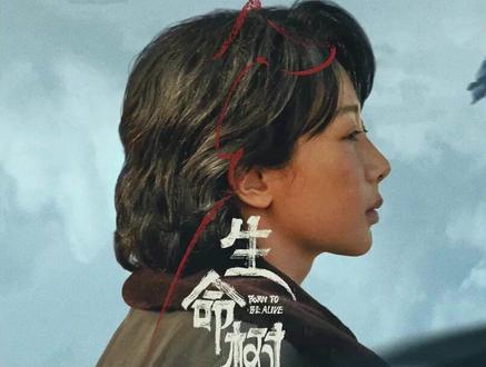 《生命树》最新一集:原来并不是所有感情都有表白的机会,白椿竟然喜欢上了收养的妹妹白菊#胡歌 #杨紫#生命树