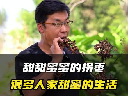 甜蜜蜜的拐枣,是很多人小时候的记忆,这些年你还有吃过吗?#云南#拐枣 #乡村守护人 #三农 #植物科普