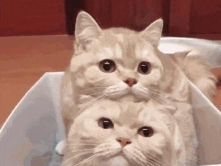 续火花聊天宝藏来了! #多闪app#多闪#AI小火人聊天#小火人#小火人家长图鉴