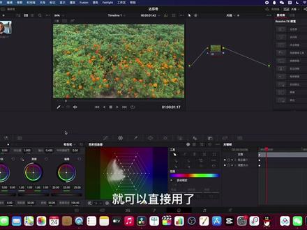 达芬奇教程(三)lut的使用