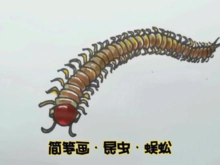 简笔画·昆虫·蜈蚣#儿童简笔画#亲子简笔画#简笔画教程 #简笔画#手绘教程#儿童画