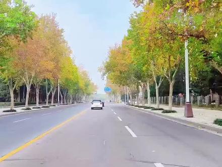 在洛龙出行,就坐神都小巴2号线 #洛阳 #洛阳旅游 #正能量 #