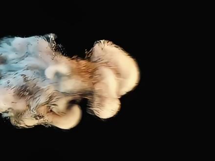 Python基础:元组(持续更新) #Python #python基础 #编程 #人工智能 #AI