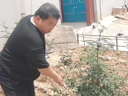 愁死了,哥哥不崩锅!!