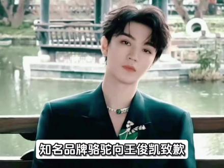 骆驼向王俊凯致歉