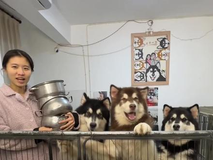 大肥羊食堂开饭啦!(3)🤔 下次一定给暖羊羊先打饭,可怜的宝宝急死了!
大家可以在评论区留下想看他们吃的菜单哦~
#萌宠 #vlog十亿流量扶持计划 #狗咖 #阿拉斯加 #食堂阿姨