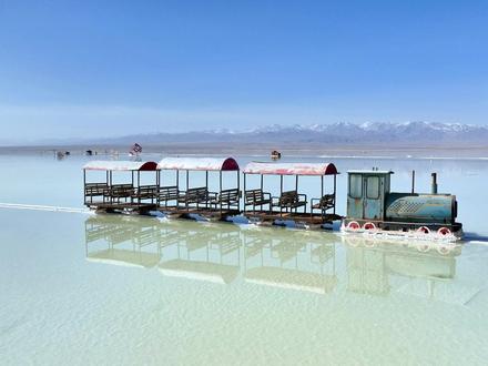 青海终于要被看见了 #跟着生命树打卡青海 #生命树 #杨紫 #紫米 #茶卡盐湖天空之镜