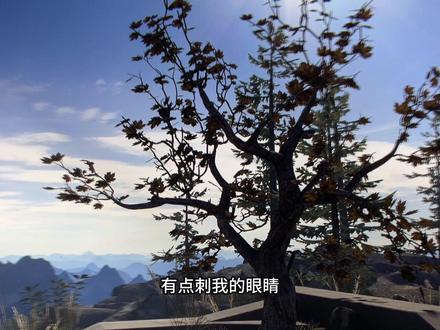 万元PC VR小派水晶Super新光机,索尼Micro OLED表现如何?#VR #小派 #小派水晶super #quest3 #pico