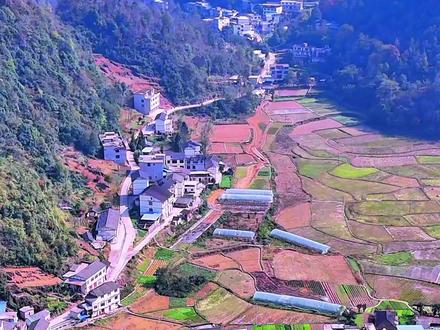 德江第一盆——堰塘乡!很多人只闻其名未见其面的乡镇!整个街区在一个盆地里,房屋依山而建、沿路而居,中间是肥沃的庄稼地,鳞次栉比、星罗棋布,宛若一幅油画!
#我为家乡代言 #贵州dou知道 #抖出你的家乡 #德江 #贵州城市景观小县城的慢节奏生活山城风光避暑胜地贵州旅游推荐德江机场多彩贵州贵州文旅推荐官家乡味贵州最美乡村贵州方言乡村风景贵州人在浙江广东福建乡愁家乡的变化家乡的味道家乡的发展交通安全贵州打卡点贵州必去的地方贵州的山水最美乡村世外桃源悬崖村庄乡村风景神奇惊险冒险旅途贵州山水最美多彩贵州德江煎茶贵州德江机场渝贵高铁泸遵高铁渝毕高铁兴永郴赣铁德江机场水龙节德江南城区大龙阡庙会美食节民族文化节