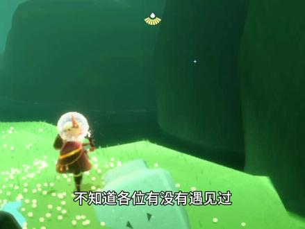 雨林隐藏图的小蓝点是什么,今天一探究竟#光遇 #Bug