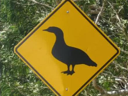 你猜猜PED XING是啥意思?#英语