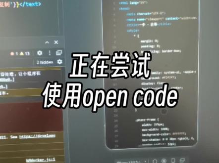 我正在尝试使用open code做一个代码预览的小程序