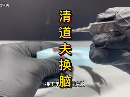 把清道夫的豆腐脑换成蚂蚁,会发生什么?#清道夫 #清道夫奇葩试验 #蚂蚁 #趣味实验 #涨知识